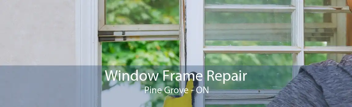 Window Frame Repair Pine Grove - ON