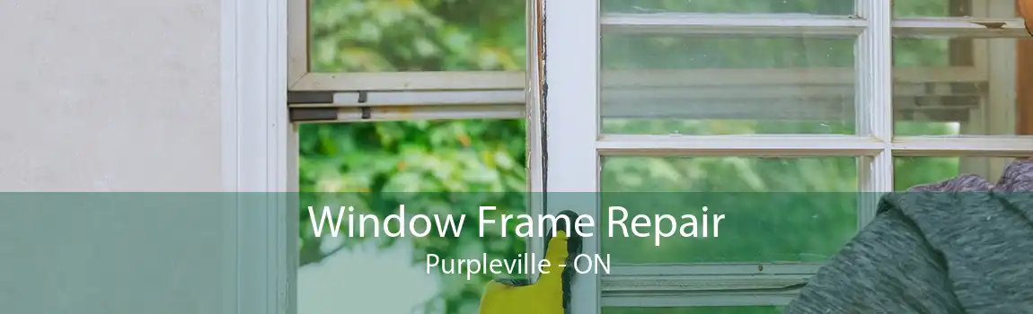 Window Frame Repair Purpleville - ON