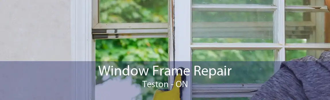 Window Frame Repair Teston - ON