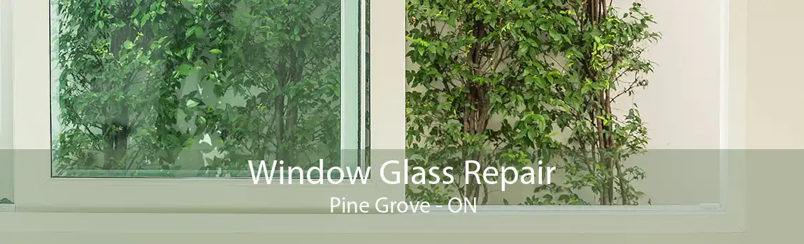 Window Glass Repair Pine Grove - ON