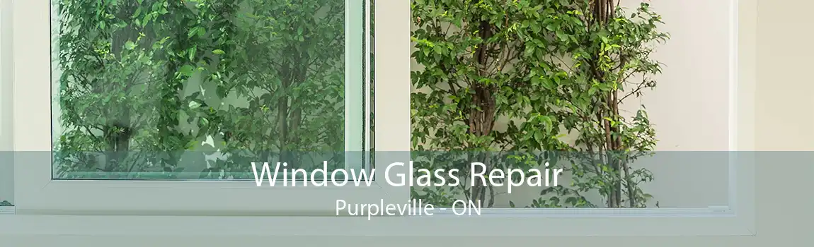 Window Glass Repair Purpleville - ON