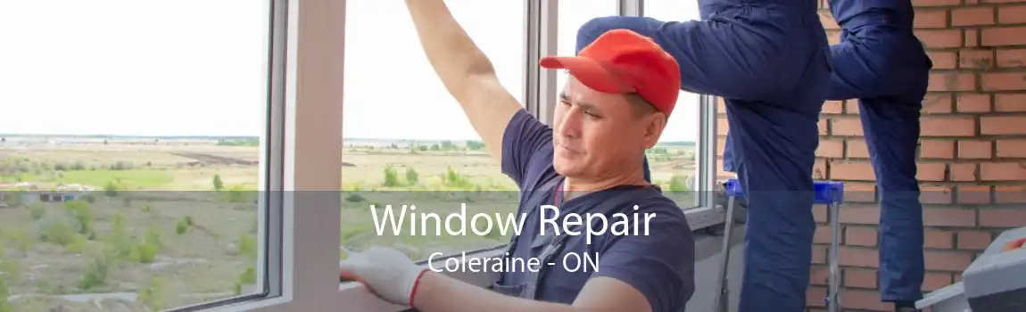 Window Repair Coleraine - ON