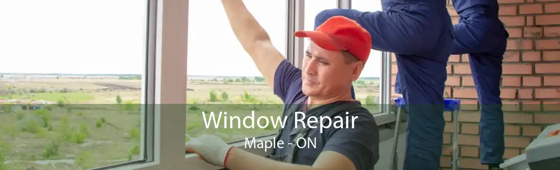 Window Repair Maple - ON