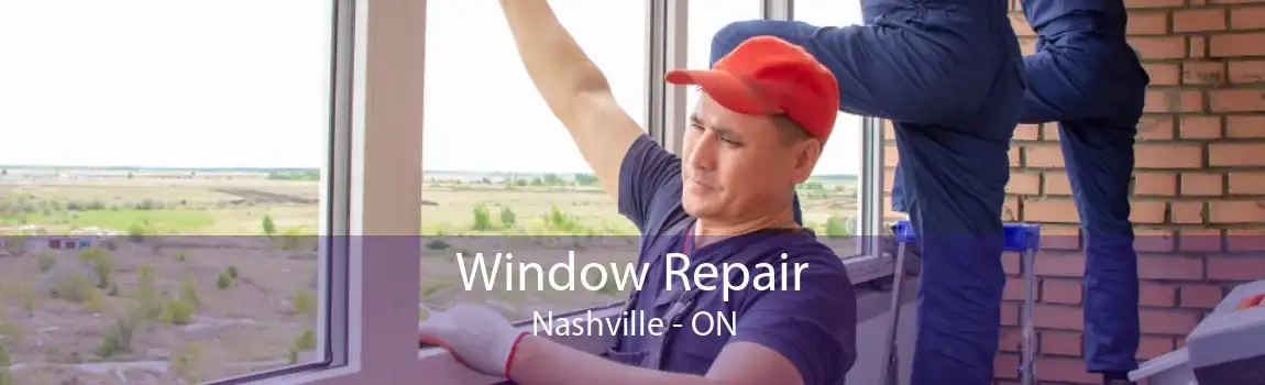 Window Repair Nashville - ON