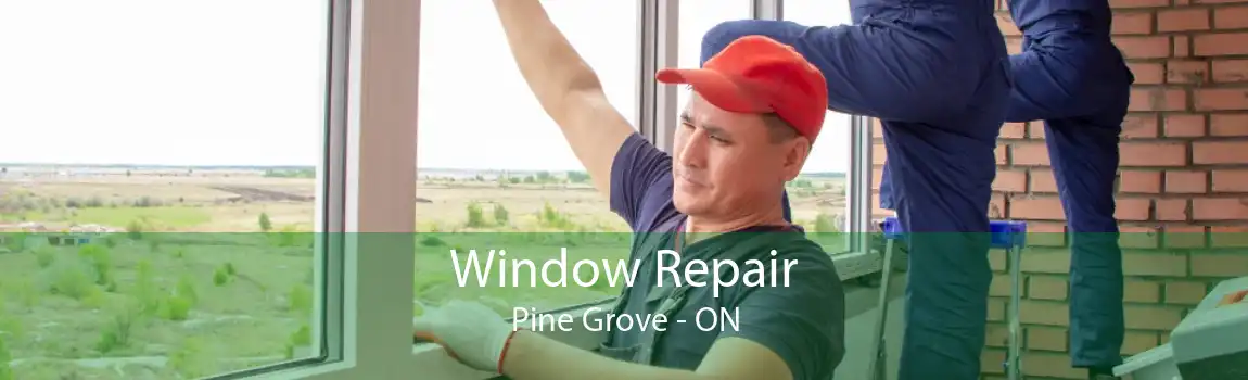 Window Repair Pine Grove - ON