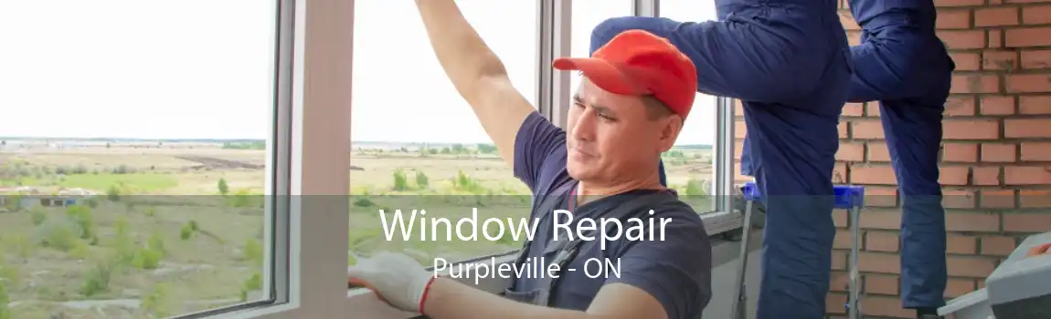 Window Repair Purpleville - ON