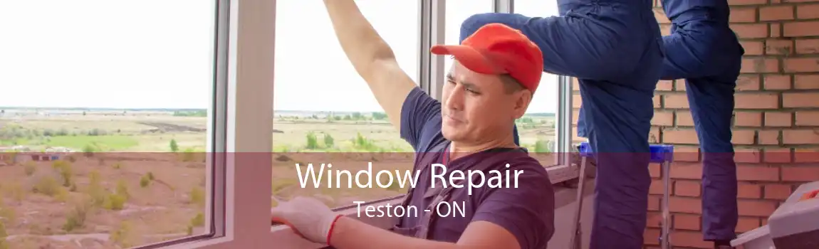 Window Repair Teston - ON