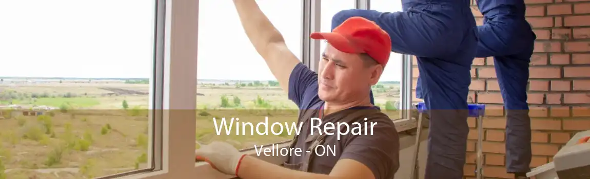 Window Repair Vellore - ON