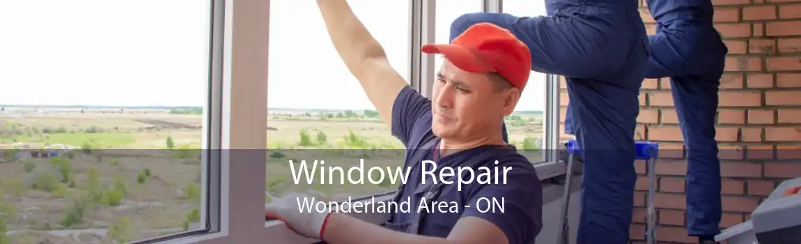Window Repair Wonderland Area - ON