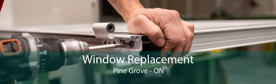 Window Replacement Pine Grove - ON
