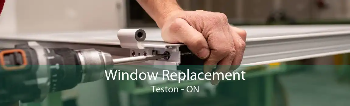 Window Replacement Teston - ON