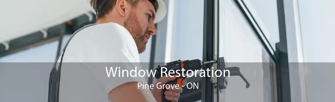 Window Restoration Pine Grove - ON