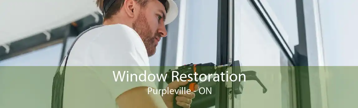 Window Restoration Purpleville - ON