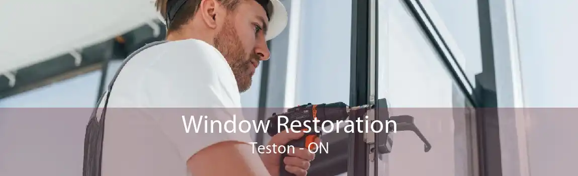 Window Restoration Teston - ON