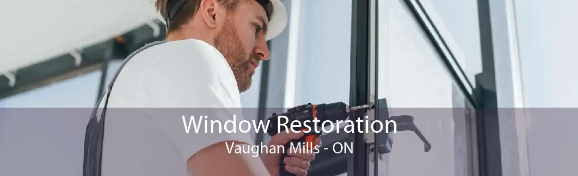 Window Restoration Vaughan Mills - ON