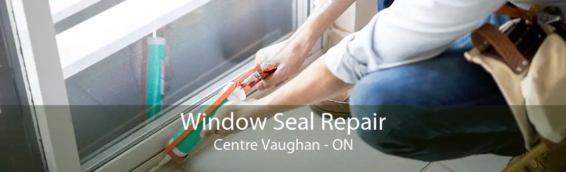 Window Seal Repair Centre Vaughan - ON