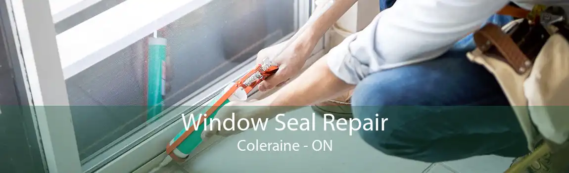 Window Seal Repair Coleraine - ON