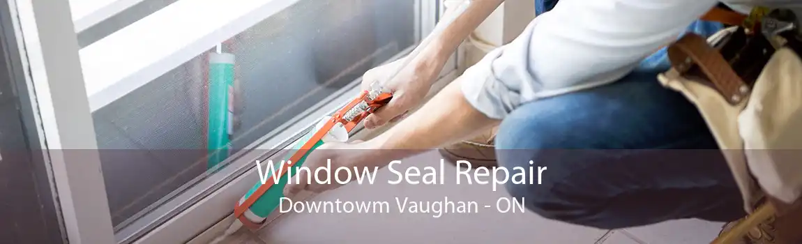 Window Seal Repair Downtowm Vaughan - ON