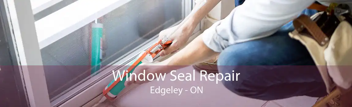 Window Seal Repair Edgeley - ON