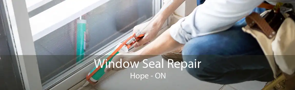 Window Seal Repair Hope - ON