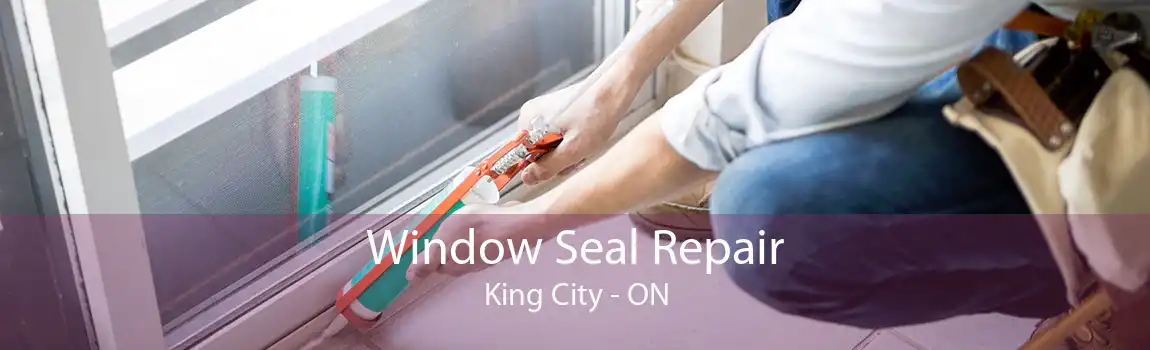 Window Seal Repair King City - ON