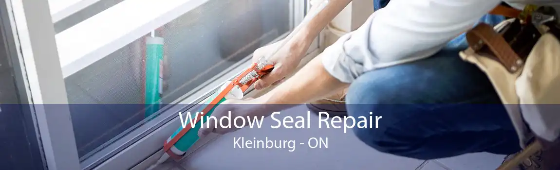 Window Seal Repair Kleinburg - ON