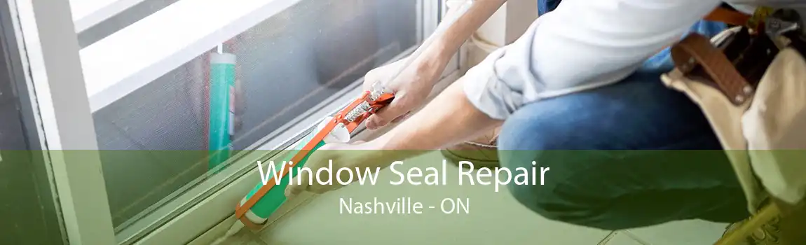 Window Seal Repair Nashville - ON