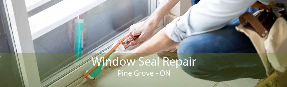 Window Seal Repair Pine Grove - ON