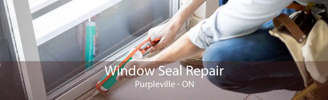 Window Seal Repair Purpleville - ON
