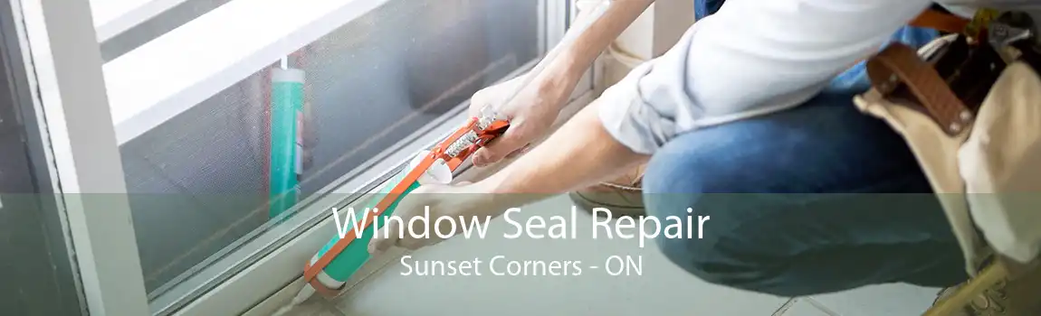 Window Seal Repair Sunset Corners - ON