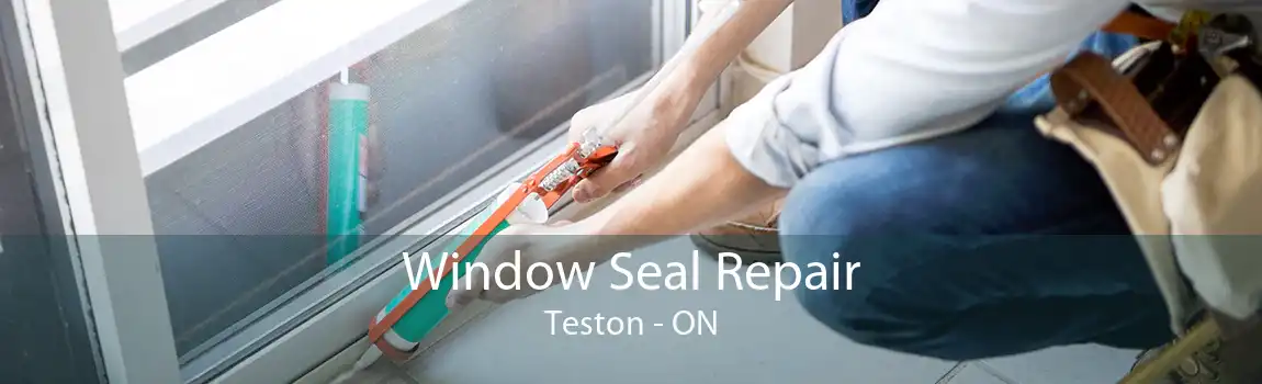 Window Seal Repair Teston - ON