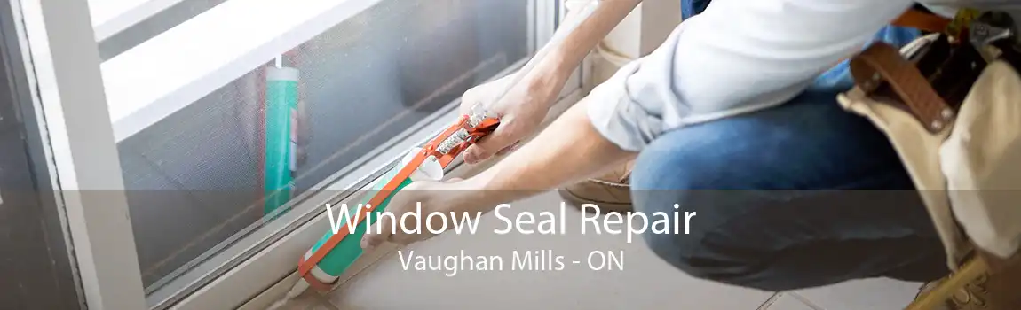 Window Seal Repair Vaughan Mills - ON