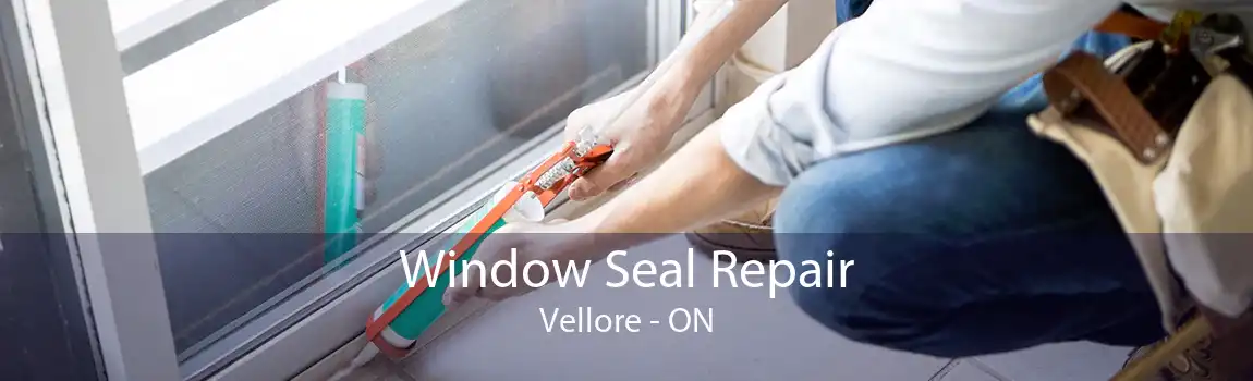 Window Seal Repair Vellore - ON