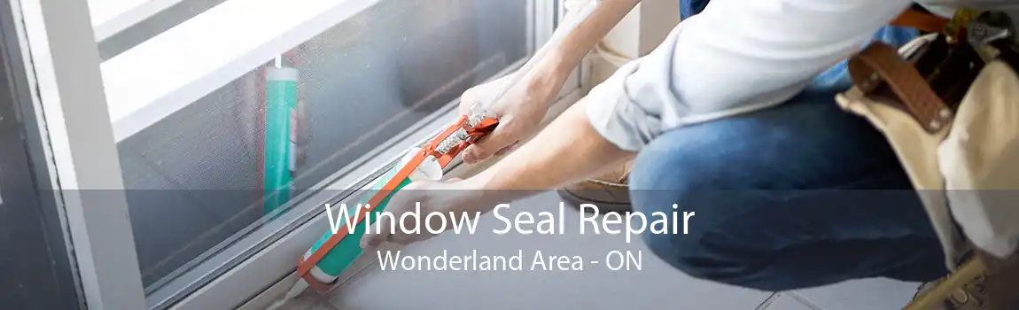 Window Seal Repair Wonderland Area - ON
