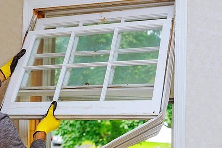 Window Replacement in Edgeley